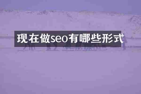 现在做seo有哪些形式