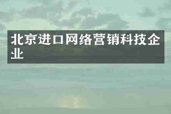 北京进口网络营销科技企业