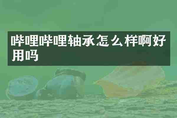 哔哩哔哩轴承怎么样啊好用吗
