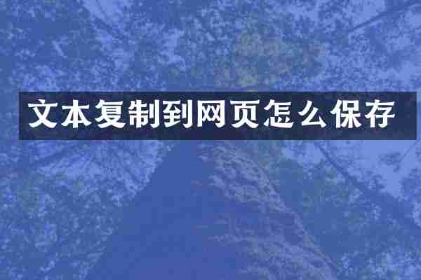 文本复制到网页怎么保存