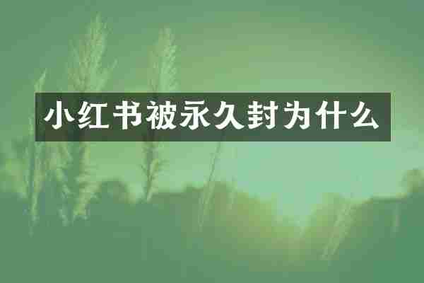 小红书被永久封为什么