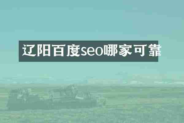 辽阳百度seo哪家可靠
