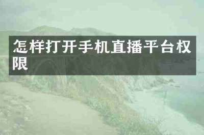 怎样打开手机直播平台权限