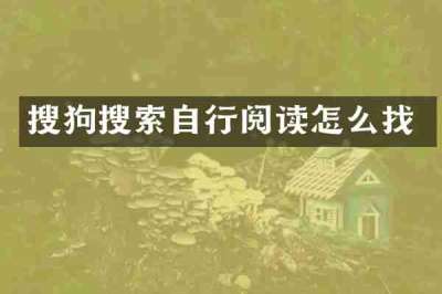 搜狗搜索自行阅读怎么找