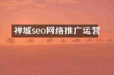 禅城seo网络推广运营