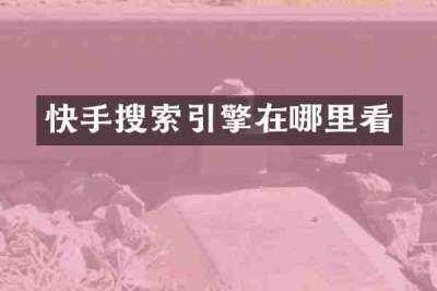 快手搜索引擎在哪里看