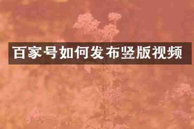 百家号如何发布竖版视频