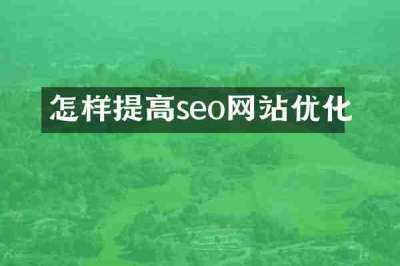 怎样提高seo网站优化