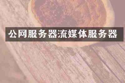 公网服务器流媒体服务器