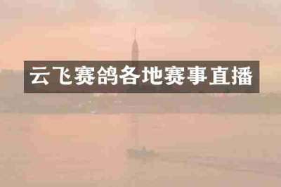 云飞赛鸽各地赛事直播