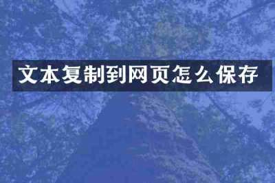 文本复制到网页怎么保存