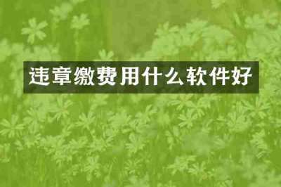 违章缴费用什么软件好