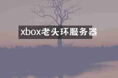 xbox老头环服务器