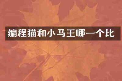 编程猫和小马王哪一个比