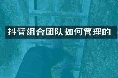 抖音组合团队如何管理的