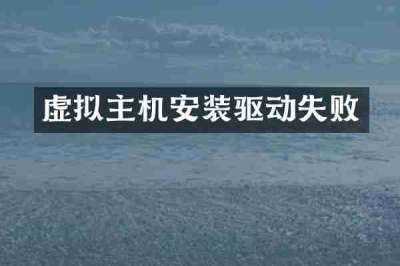 虚拟主机安装驱动失败