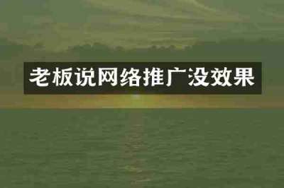 老板说网络推广没效果