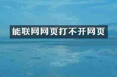 能联网网页打不开网页