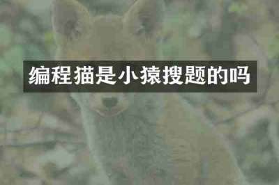 编程猫是小猿搜题的吗