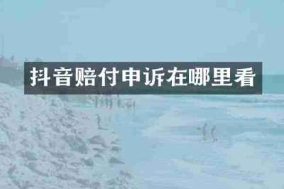 抖音赔付申诉在哪里看