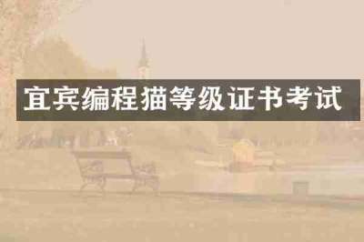 宜宾编程猫等级证书考试