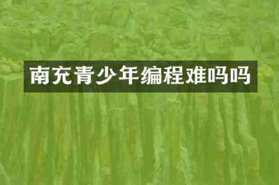 南充青少年编程难吗吗
