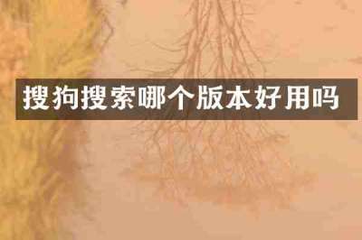 搜狗搜索哪个版本好用吗