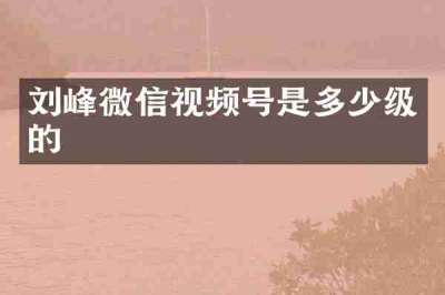 刘峰微信视频号是多少级的