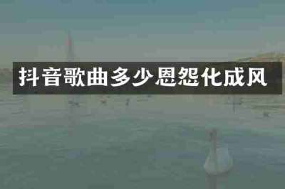 抖音歌曲多少恩怨化成风