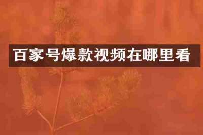 百家号爆款视频在哪里看