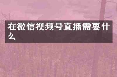 在微信视频号直播需要什么