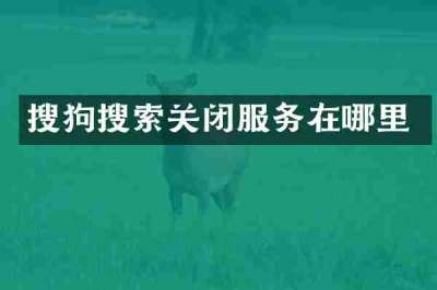 搜狗搜索关闭服务在哪里