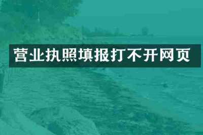 营业执照填报打不开网页