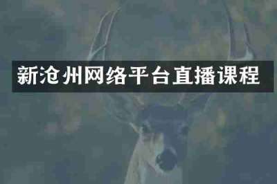 新沧州网络平台直播课程