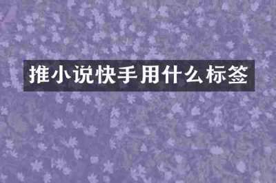推小说快手用什么标签