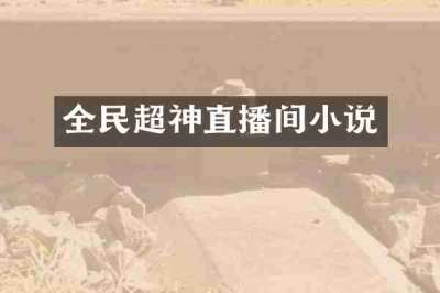 全民超神直播间小说