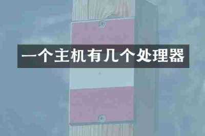 一个主机有几个处理器