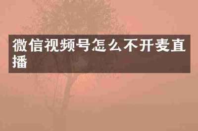 微信视频号怎么不开麦直播