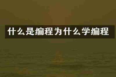 什么是编程为什么学编程