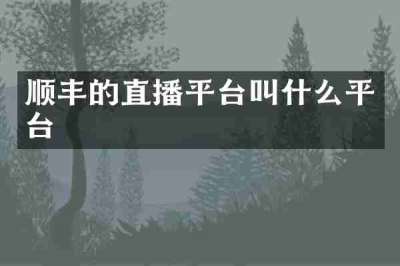 顺丰的直播平台叫什么平台