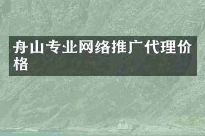 舟山专业网络推广代理价格