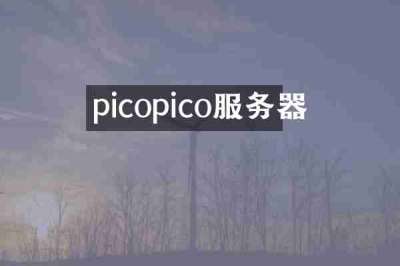picopico服务器