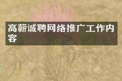 高薪诚聘网络推广工作内容