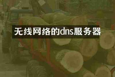 无线网络的dns服务器