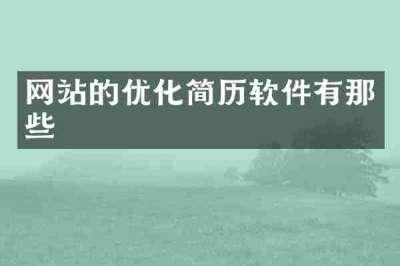 网站的优化简历软件有那些