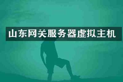山东网关服务器虚拟主机