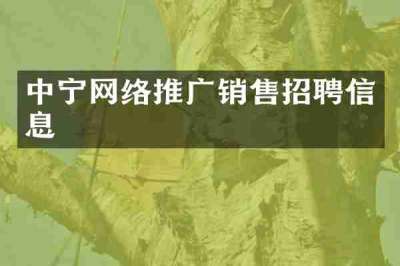 中宁网络推广销售招聘信息