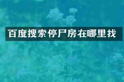 百度搜索停尸房在哪里找