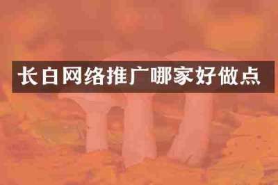 长白网络推广哪家好做点