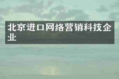 北京进口网络营销科技企业